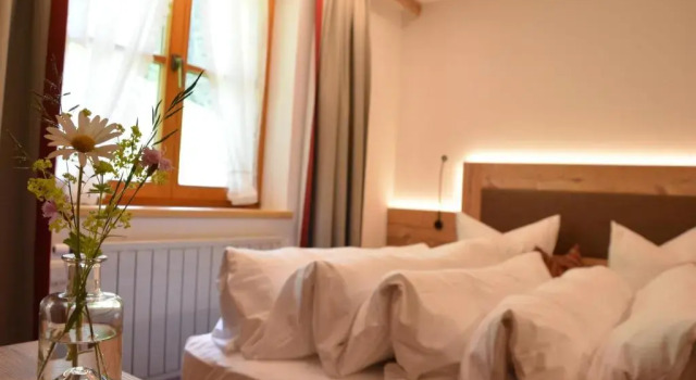 Двухместный номер Standard Hotel Garni Alpina