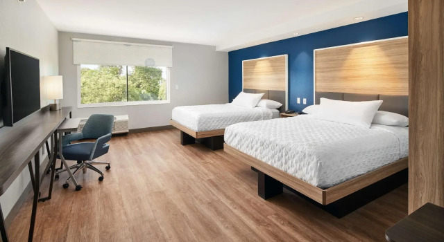 Четырёхместный номер Standard Tru By Hilton Ft Lauderdale Airport