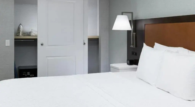 Двухместный номер Accessible Hampton Inn & Suites Memphis-Beale Street