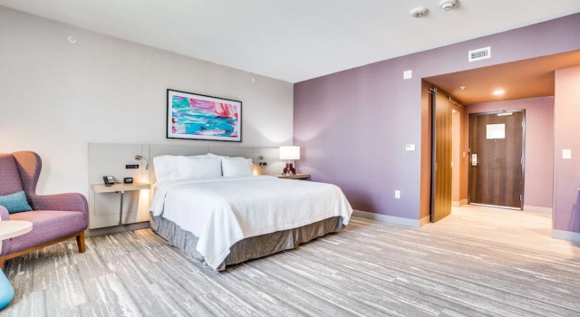 Двухместный номер Mobility Accessible Roll-In Shower Hilton Garden Inn Dallas-Central Expy/North Park Area, Tx