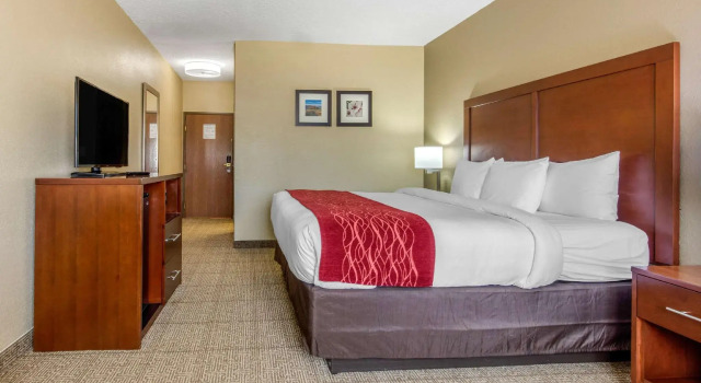 Номер Standard Comfort Inn & Suites McComb