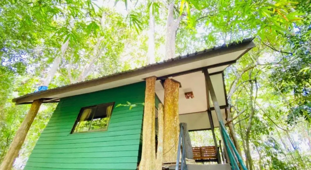 Бунгало Standard Khao Sok Tree House Resort