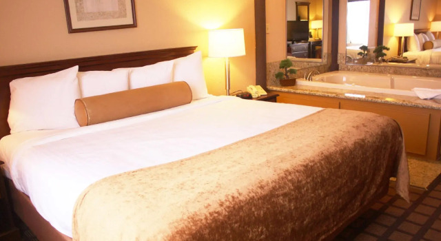 Двухместный люкс Spark By Hilton Merrillville