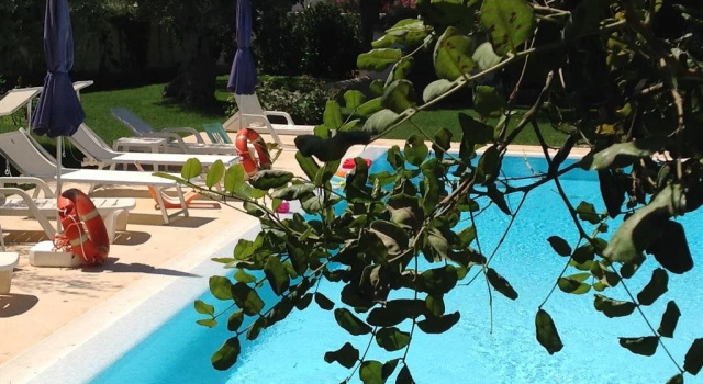 Il Giardino Dei Carrubi