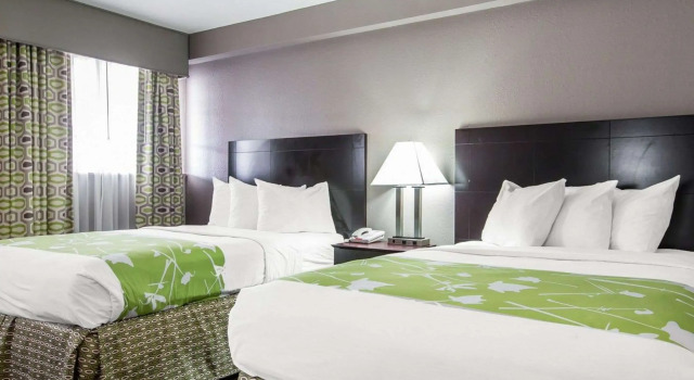 Четырёхместный номер Standard Econo Lodge Birmingham - Hoover