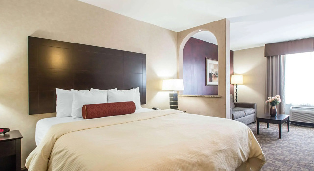 Двухместный люкс Clarion Inn Elmhurst - Oak Brook near I-88, I-290, I-294