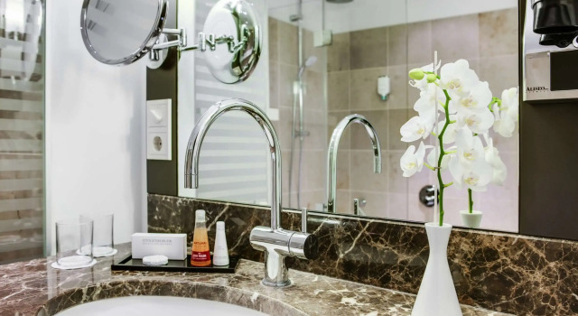 Одноместный номер Standard Steigenberger Hotel Bad Neuenahr