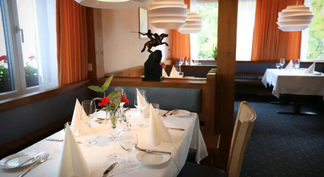 Номер Standard Hotel Falknerei Galina
