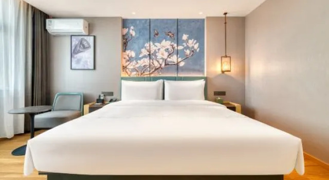 Люкс Deluxe Magnotel Classic Huzhou Changxing South Station - East Yufang Cultural Street Branch