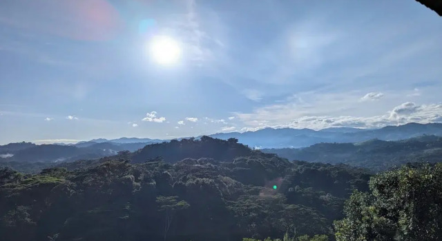 Standard- værelse Bwindi Neckview Lodge