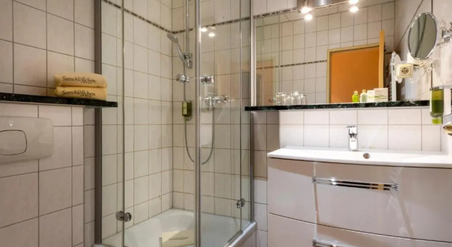 Одноместный номер Standard Wellnesshotel Seeschlößchen - Privat- Spa & Naturresort