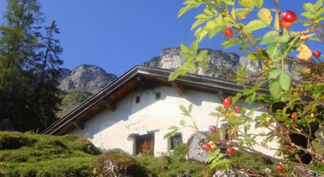 Апартаменты Haus Alpengruß