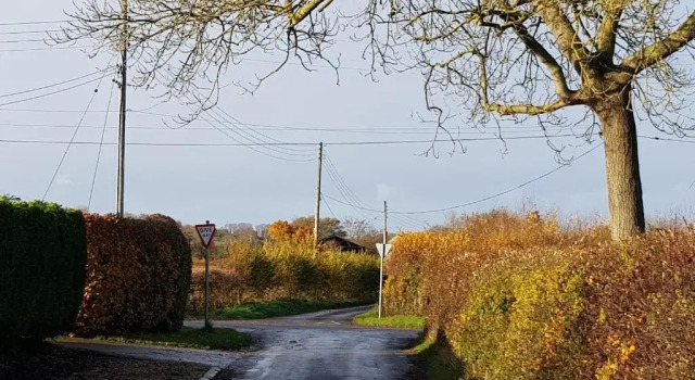 Rosehip Cottage, Buchen Sie Ferienhaus Somerton Somerset