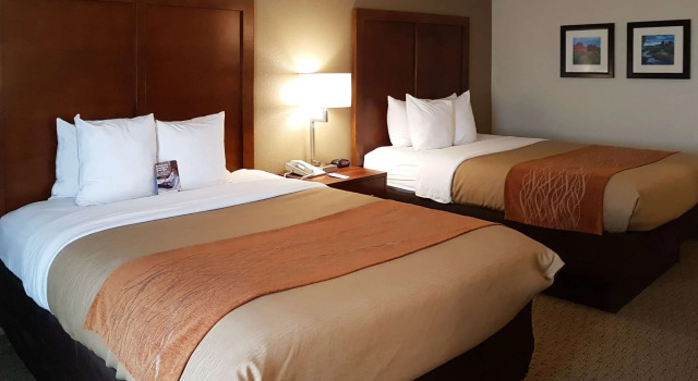 Четырёхместный номер Standard Comfort Inn I-10 West at 51st Ave