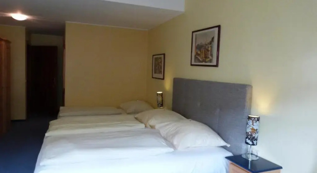 Двухместный номер Comfort Hôtel - Restaurant " Victor Hugo"