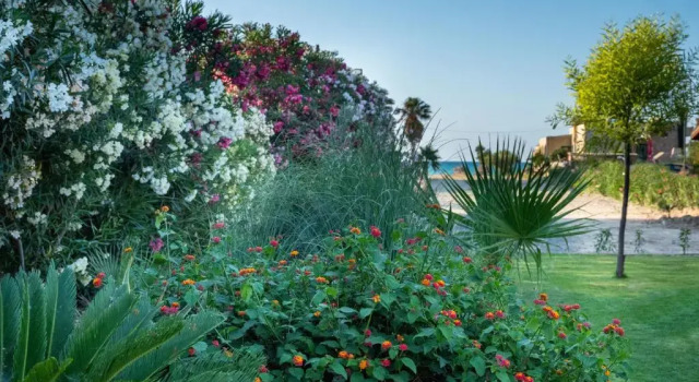 Вилла Evdokia Beach Resort