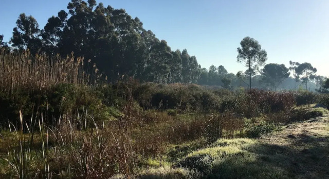 Stellar Overberg Travellers Lodge, Reservar Hotel Napier 
