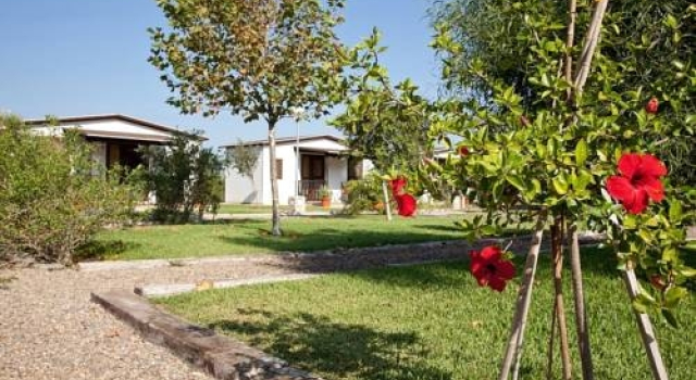 Alojamiento Cortijo el Caserio