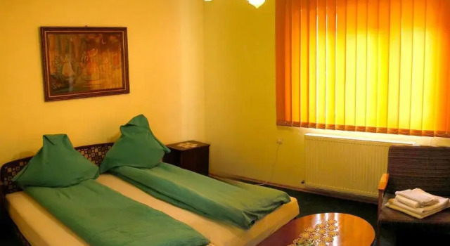 Standard Double room with city view Pensiunea Subcetate Deva