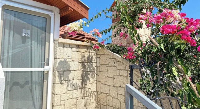 Номер Economy Cumbalıca Flora