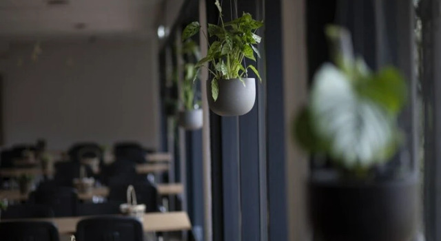 Hotel Jarl, Rezerwuj Hotel Hotele w Hordaland z basenem, Basen