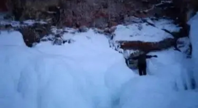 Usad'ba Filatovykh