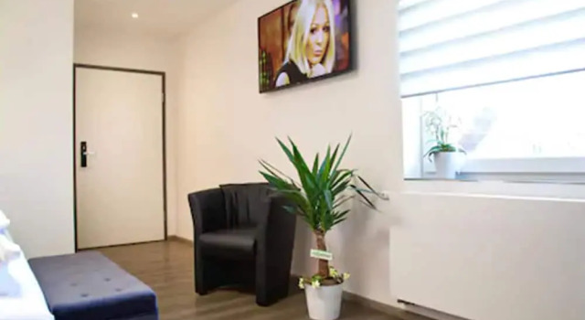 Одноместный номер Standard sevenDays Hotel Boardinghouse Kirchheim
