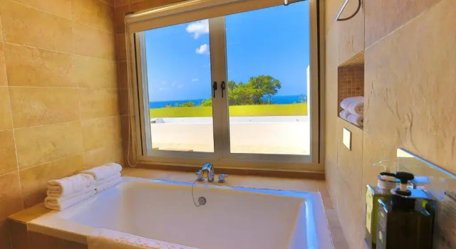 Номер Standard Kenting Ocean Paradise Resort