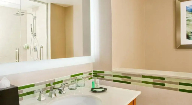 Номер Standard The Westin Washington Dulles Airport