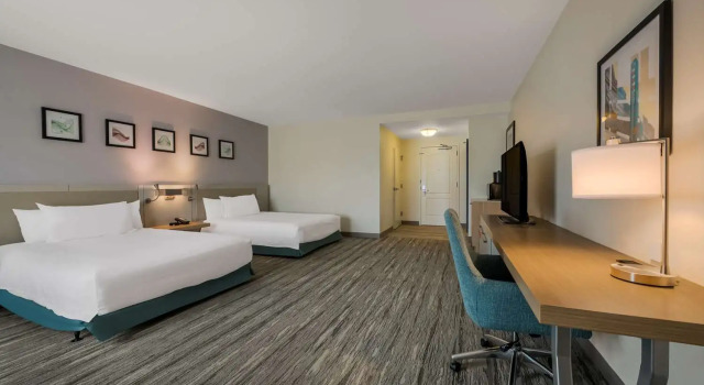 Номер Standard Hilton Garden Inn Rockford