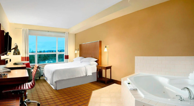 Двухместный номер Standard Four Points by Sheraton Victoria Gateway