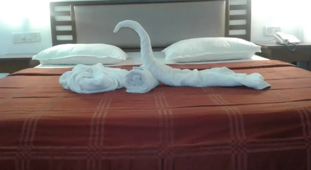 Номер Deluxe Hotel Maharaja Residency