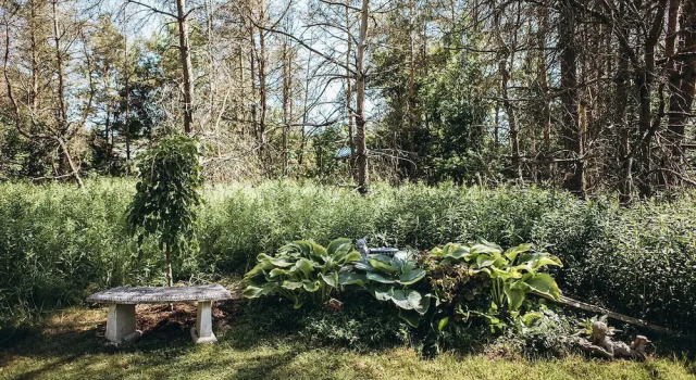 Номер Comfort Dreamers Writing Farm, 3 Wooded Acres, Hepworth