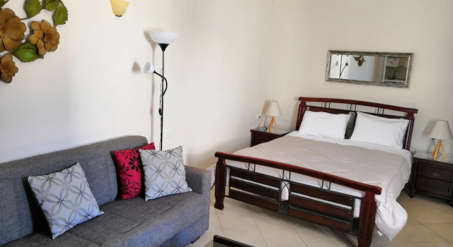 Студия Standard Artemisia Apartment