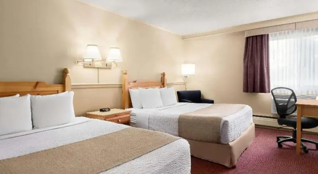 Номер Standard Quality Inn & Suites