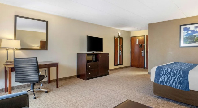 Двухместный люкс Comfort Inn Grand Rapids Airport