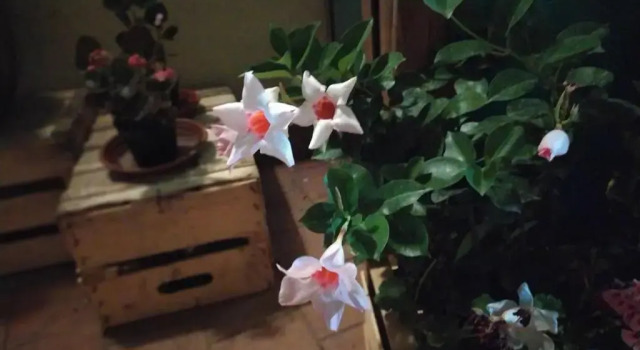 Коттедж Casa 900