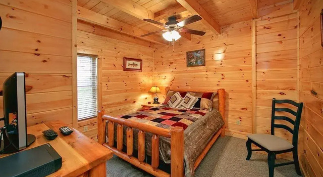 Beary Cozy