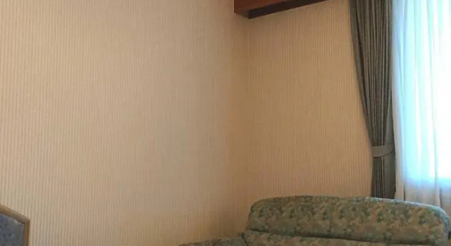 Одноместный номер Standard Hotel TETORA Resort Tokachigawa
