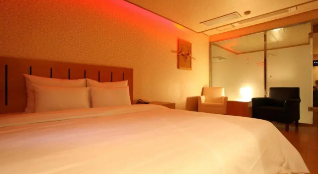 Двухместный номер Deluxe Prince Hotel