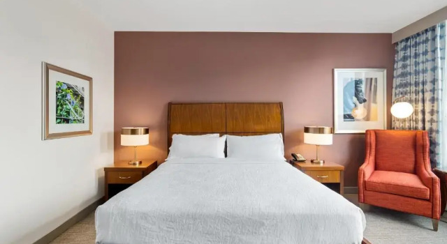 Двухместный номер с видом на город Hilton Garden Inn New Orleans French Quarter/CBD