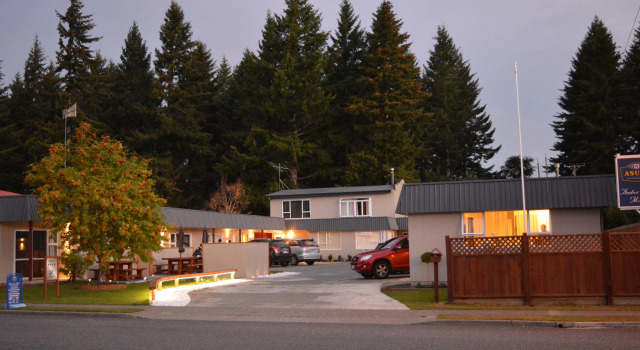 Одноместный семейный номер Standard Amber Court Motel