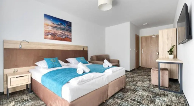 Двухместный номер Standard Welle Resort