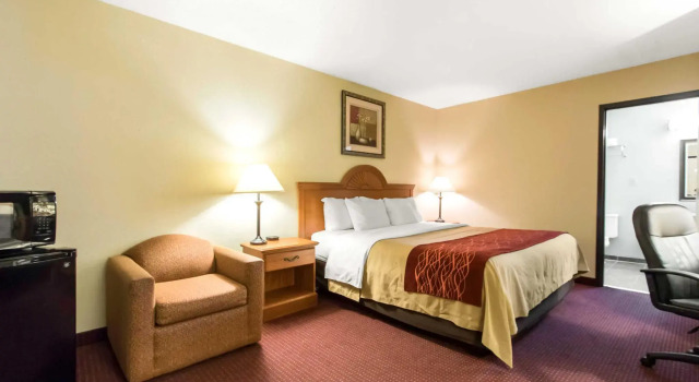 Standard Doppel Zimmer Quality Inn