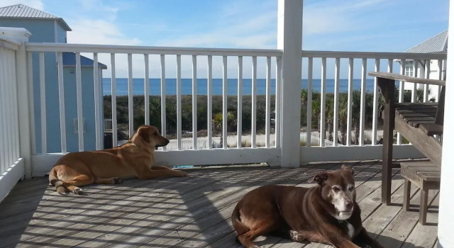 Коттедж Veranda Views by Pristine Property Vacation Rentals
