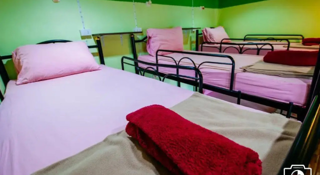 Кровать в общем номере Venus Resort