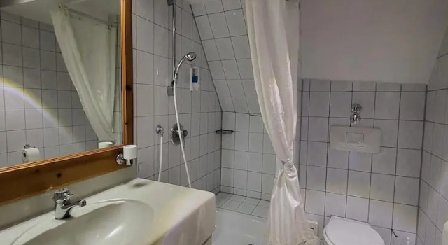 Номер Economy Historikhotel Ochsen