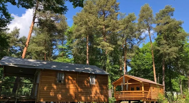 Superior Chalet Camping Osenbach