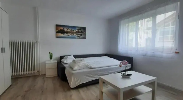 Апартаменты Green Hill Apartments - Dornbirn
