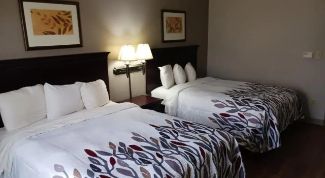 Четырёхместный номер Deluxe Red Roof Inn & Suites Midland